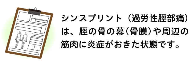 シンスプリント（過労性脛部痛）は脛の骨の膜（骨膜）や周囲の筋肉に炎症がおきた状態です。